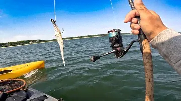 2.5 Hour UNCUT Zoom Fluke Vs. Gulp! Fishing In Long Island Sound (Match The Hatch)