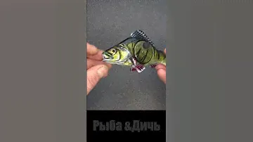 Необычная зимняя удочка