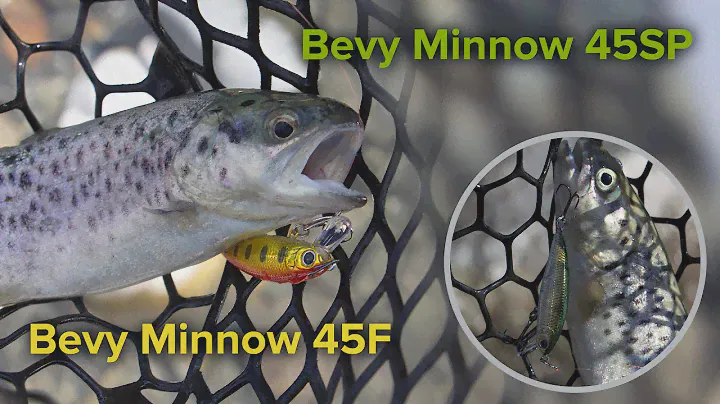 Ручьевая форель на  Bevy Minnow 45SP и 45F с Egoist LE 602UL