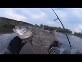 Спиннинг Maximus Fish Poison 21L 2-11 грамм