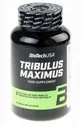 Tribulus Maximus (90 таблеток) BioTech USA