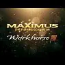 Спиннинг Maximus Workhorse-Z 27ML 5-20 грамм