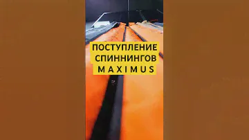 Широкая линейка бланков MAXIMUS позволит каждому найти идеальный вариант для своей ловли.