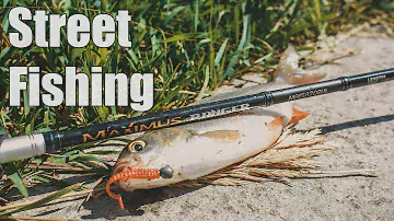 Street fishing & Maximus Ranger