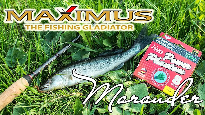 Обзор спиннинга Maximus Marauder 66L - сенсорика и мощь