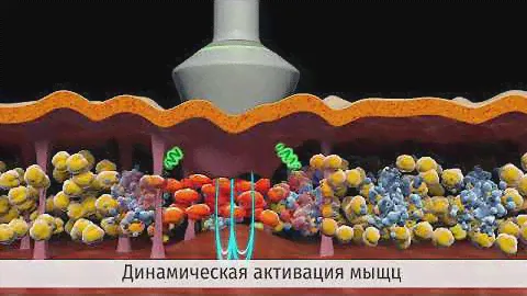 Коррекция фигуры на аппарате Maximus