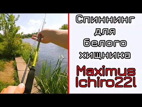 Спиннинг Maximus Ichiro 20L 2-9 грамм-1