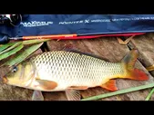 Спиннинг Maximus Pointer-X Nano Jig 18XUL 0.3-2.5 грамм