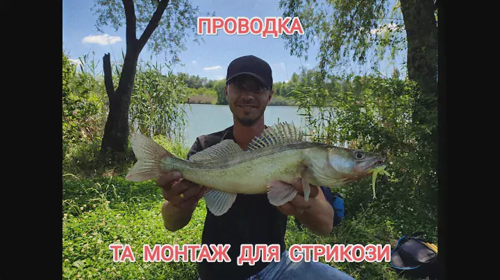 Риболовля на судака Монтаж гачків на стрикозу Як робити проводку силіконовой стрикозой.