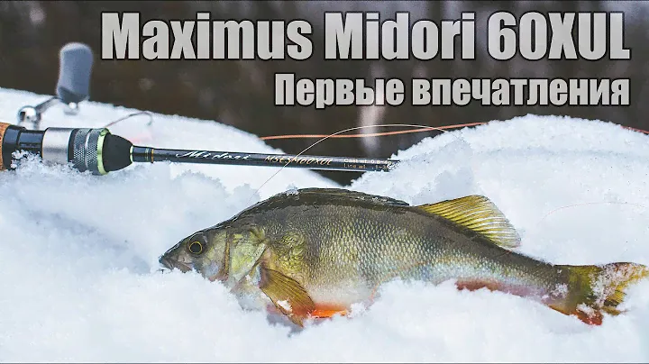 Спиннинг Maximus Midori 60XUL. Первые впечатления