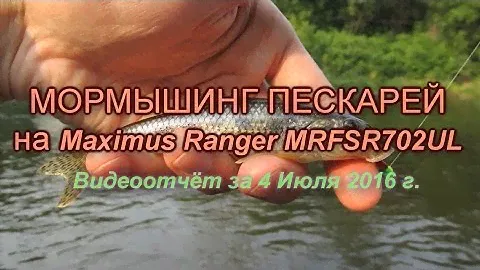 Мормышинг пескарей на Maximus Ranger MRFSR702UL. Видеоотчёт за 04/07/2016