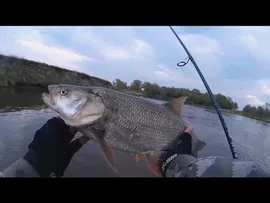 Спиннинг Maximus Fish Poison 21L 2-11 грамм