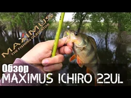 Спиннинг Maximus Ichiro 20L 2-9 грамм