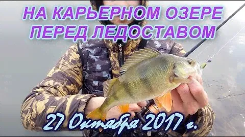 На карьерном озере перед ледоставом 27/10/2017 ловля окуня на микроджиг