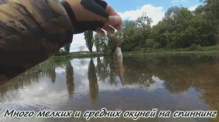 5 рыбалок с разных мест и разными снастями! Много мелких и средних окуней на спиннинг