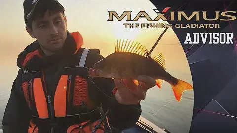 Спиннинг MAXIMUS ADVISOR.  Ловля окуня, судака и щуки на спиннинг. Kamfish