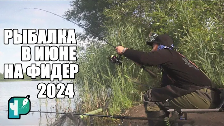 Рыбалка на ФИДЕР в июне 2024
