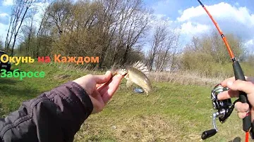 Бешеный клёв Окуня.Поклёвки на каждом забросе!!
