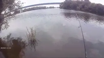 Тестирование спиннингового удилища Maximus Ranger Rock Fish.