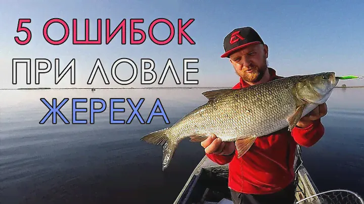 5 ОШИБОК ПРИ ЛОВЛЕ ЖЕРЕХА НА СПИННИНГ! Советы эксперта