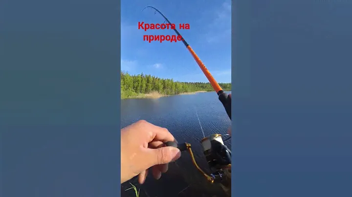 отдыхаю на природе,душой и телом #максимус #sorts #youtubeshorts #рыбалкавидео #природа