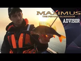 Спиннинг Maximus Advisor 24H 15-56 грамм