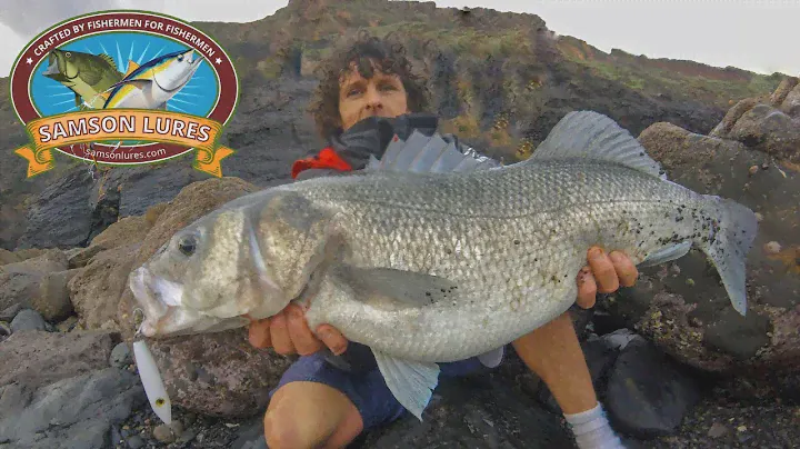 Lure Fishing For Big Sea Bass👉 (Double figure sea bass on Samson lures pt 3)