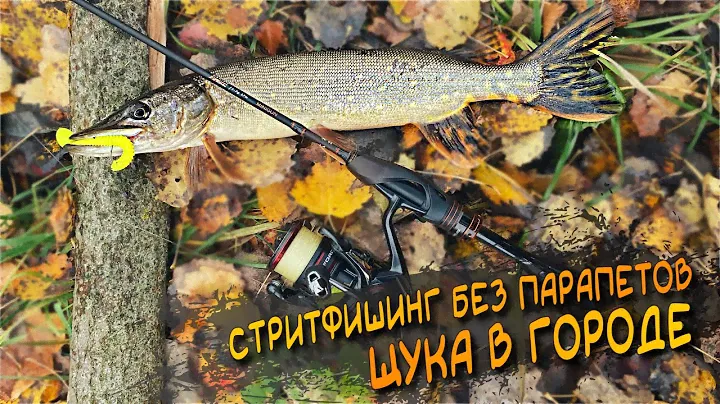 Два Года Не Мог Поймать Щуку В Городе...И Поймал! Рыбалка С Maximus Minigun