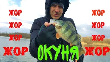 Попал на Раздачу Окуня ⚠️ ЖОР. Окунь берет ОДИН за ДРУГИМ. Микроджиг - лучшая приманка. ДЖИГ-РИГ👍