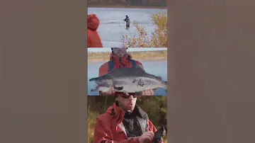 Сёмга и горбуша на Кольском #рыбалка #catchingfish #рыбалканакольском