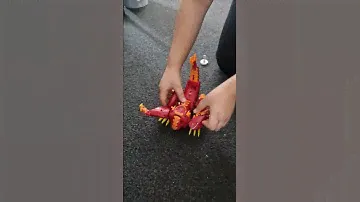 transforming Bakugan Dragonoid Maximus 8-Inch Figure Lights Sounds Battle Planet