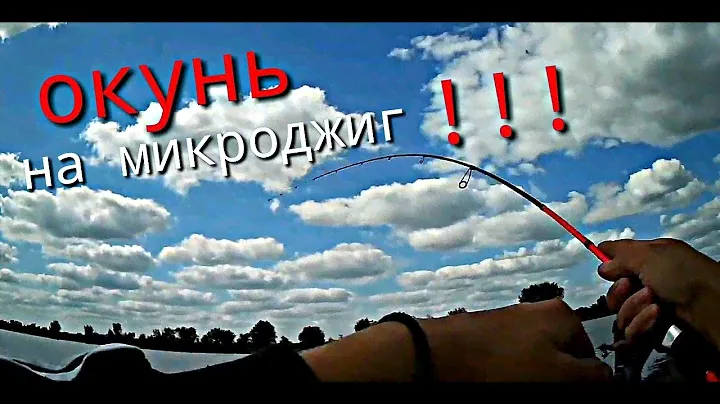 Сколько в этом коряжнике рыбы? /ОКУНЬ на микроджиг !!!