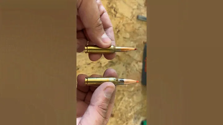 What would you choose 308 Winchester or 6.5 Creedmoor? #308 #6.5creedmoor #hunting #prs