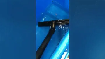 Sprintus video flood3