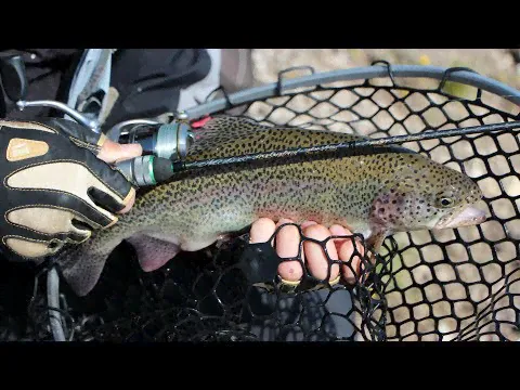 Спиннинг Maximus Midori Stream 662UL 1.5-6 грамм-3