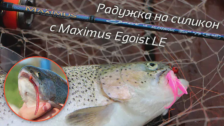 Ловля радужной форели на силикон с Maximus Egoist LE