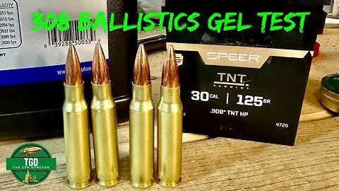 308 125gr Speer TNT Varmint Bullet Ballistics Gel Test!!!