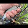 Спиннинг Maximus Legend Nano Jig 17XUL-HS 0.2-1.5 грамм-0