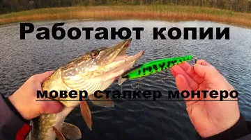 Работают копии. Мовер Сталкер Монтеро.
