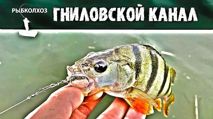 РОСТОВ-НА-ДОНУ | ГНИЛОВСКОЙ КАНАЛ - ловля на вращающиеся блесны.