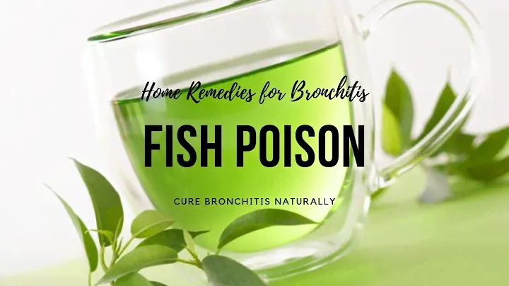 Home Remedies for Bronchitis -Fish Poison can cure Bronchitis Naturally