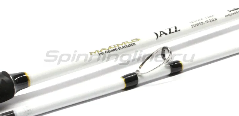  Maximus Jazz 702MH  -0