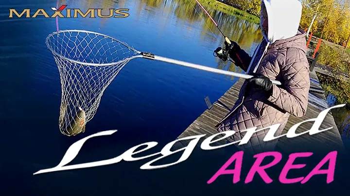 Maximus Legend Area Pink. Волшебный розовый спиннинг для ловли форели