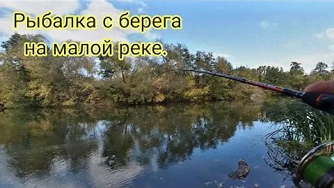 Рыбалка с берега в сентябре на Maximus Gravity-X Microjig 202SUL 2,0m 0,6-5g.