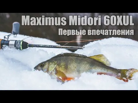 Спиннинг Maximus Midori Stream 662UL 1.5-6 грамм-1