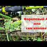 Спиннинг Maximus Ichiro-X Stream 16UL 1-7 грамм-3
